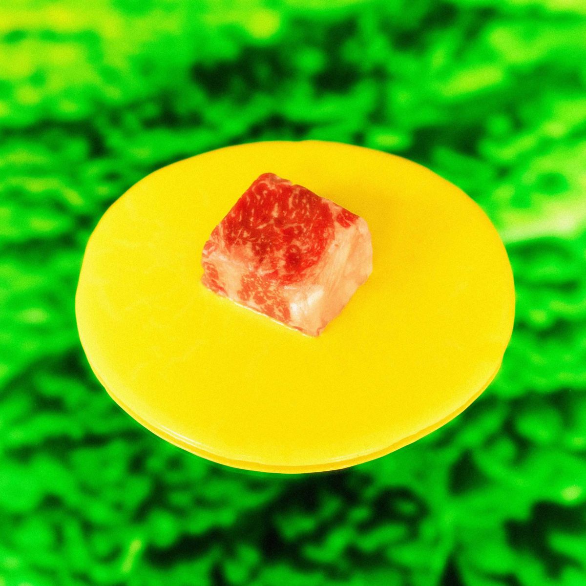 Cubo di carne cruda su piatto giallo, fondo verde