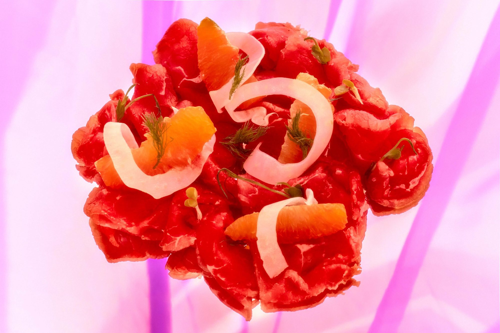 Tartare di carne con verdure su fondo magenta